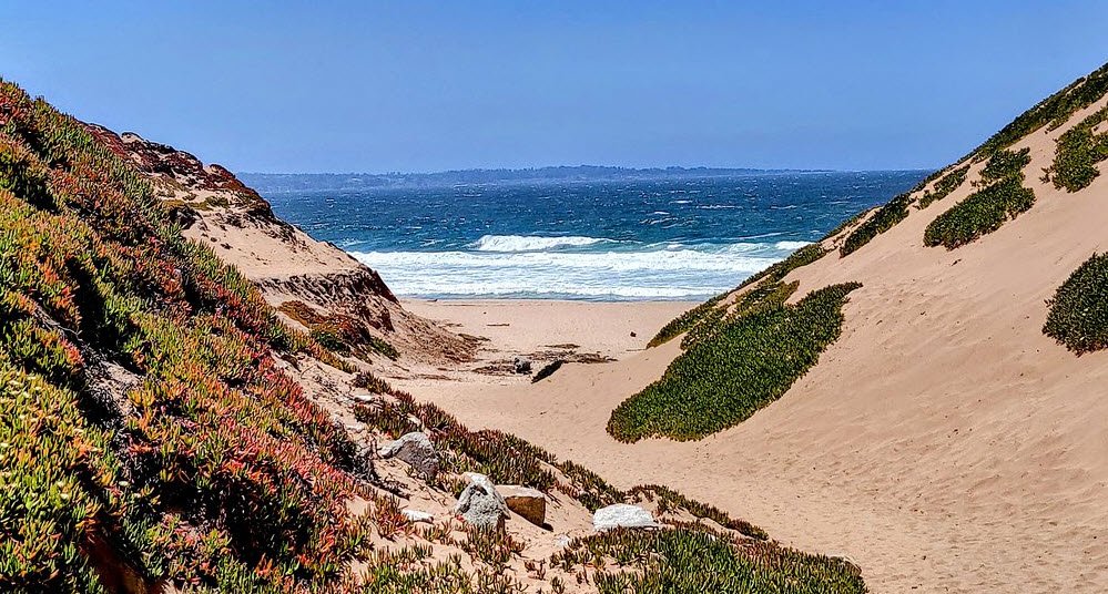 Fort Ord Dunes State Park, California, USA